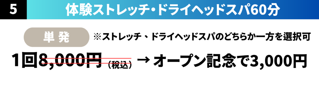 体験ストレッチ、ドライヘッドスパ60分
単発1回8000円（税込）がオープン記念で3000円
ストレッチドライヘッドスパのどちらか一方を選択可。